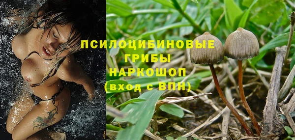 дживик Вяземский