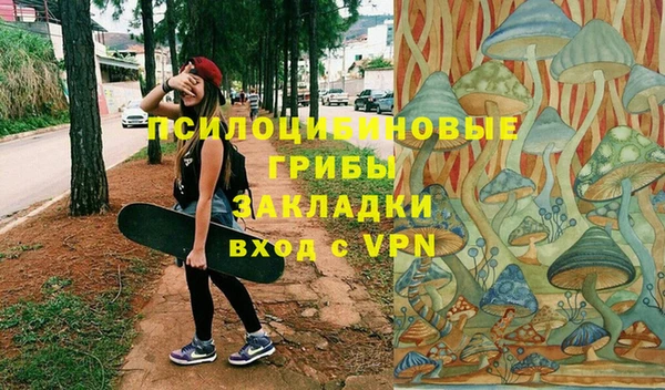 дживик Вяземский