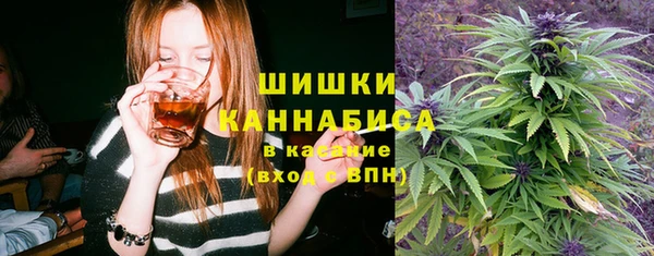 дживик Вяземский