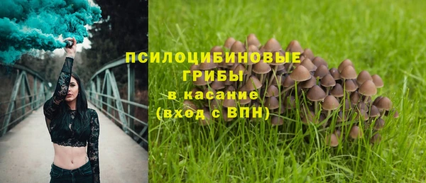 спайс Вязьма